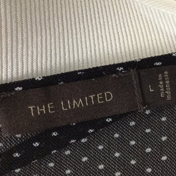 The Limited swiss dot ruffle blouse - work or play - Picture 6 of 8